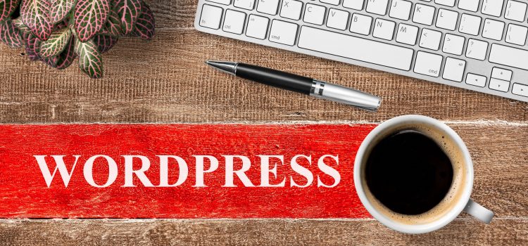 10 Important Steps to Take After Installing WordPress