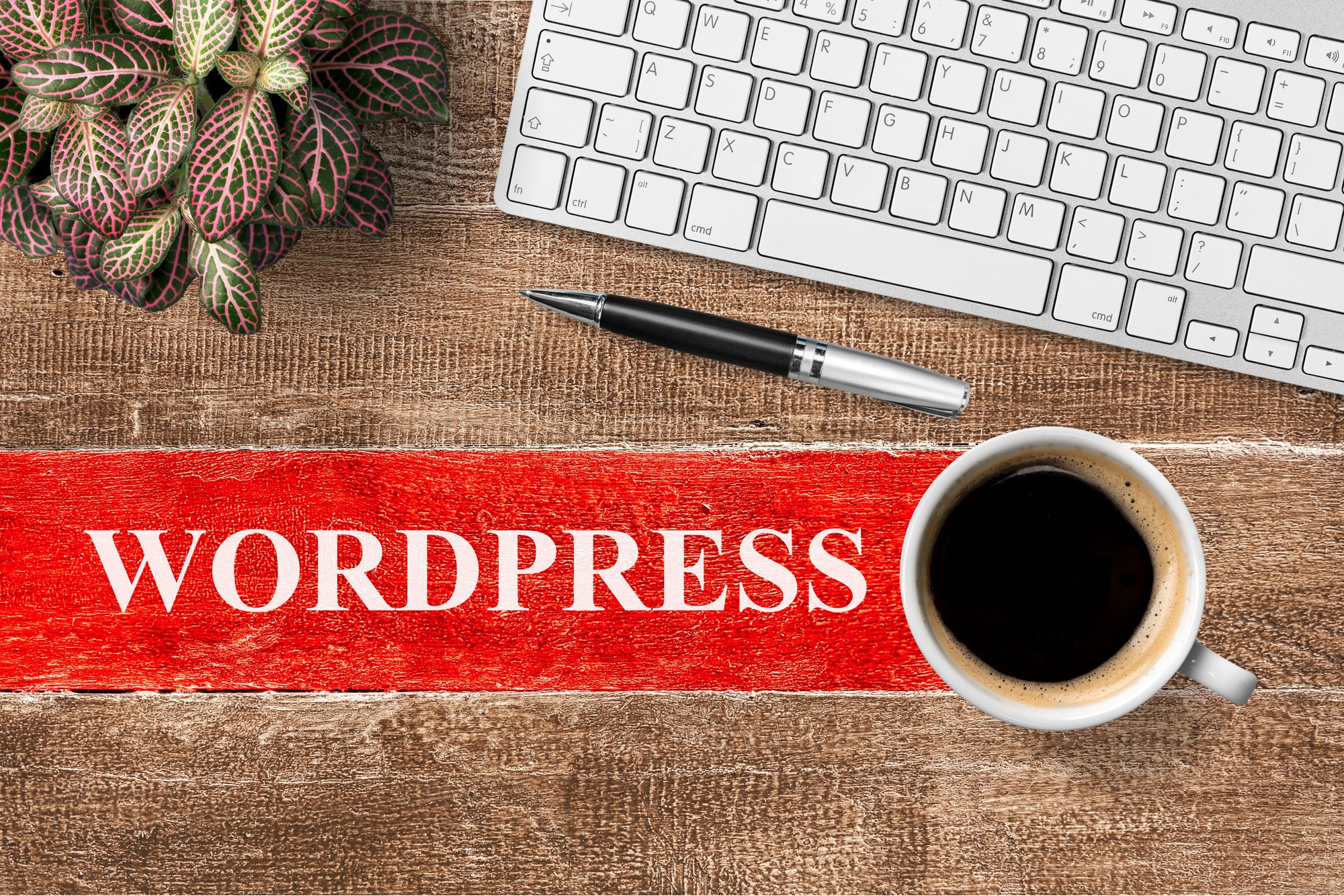 what to do after installing wordpress